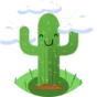 CactusFire